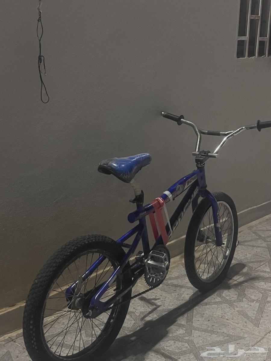 Clean Cobra motorcycle, missing a stand and the rest, must come with a bird64502693850881112