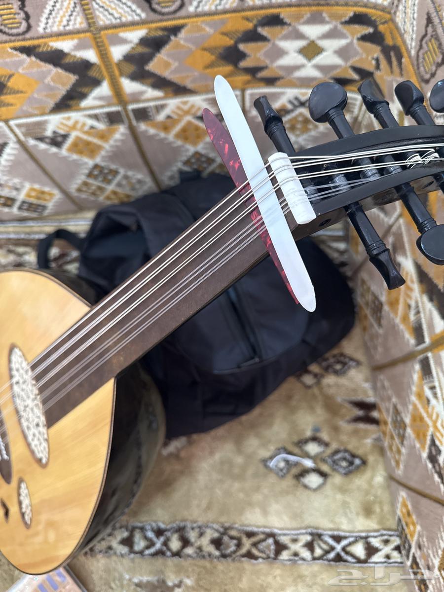 New Bahraini oud abu albabain with three feathers and strings64497855219714113