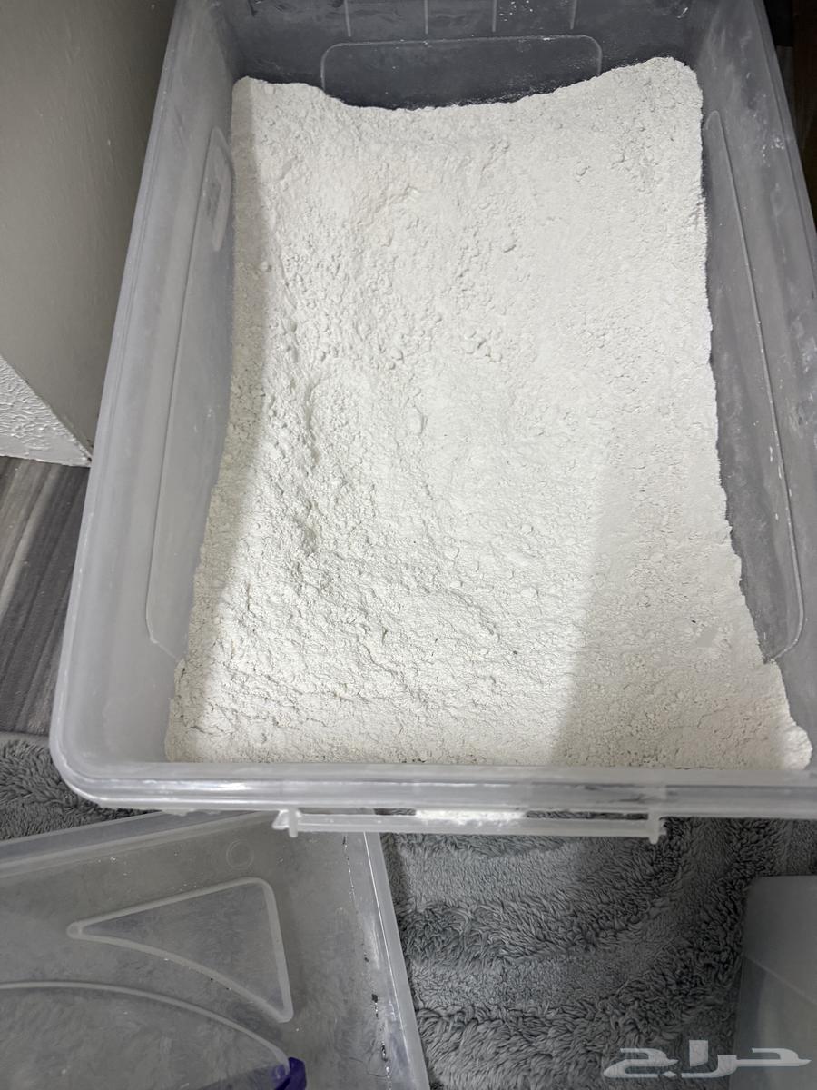 اعمال يدويه بالجبس الفرنسي64495365678337110