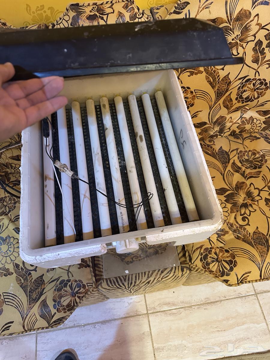 Tamatik 64-Egg Red Twilight Incubator64499633509123112