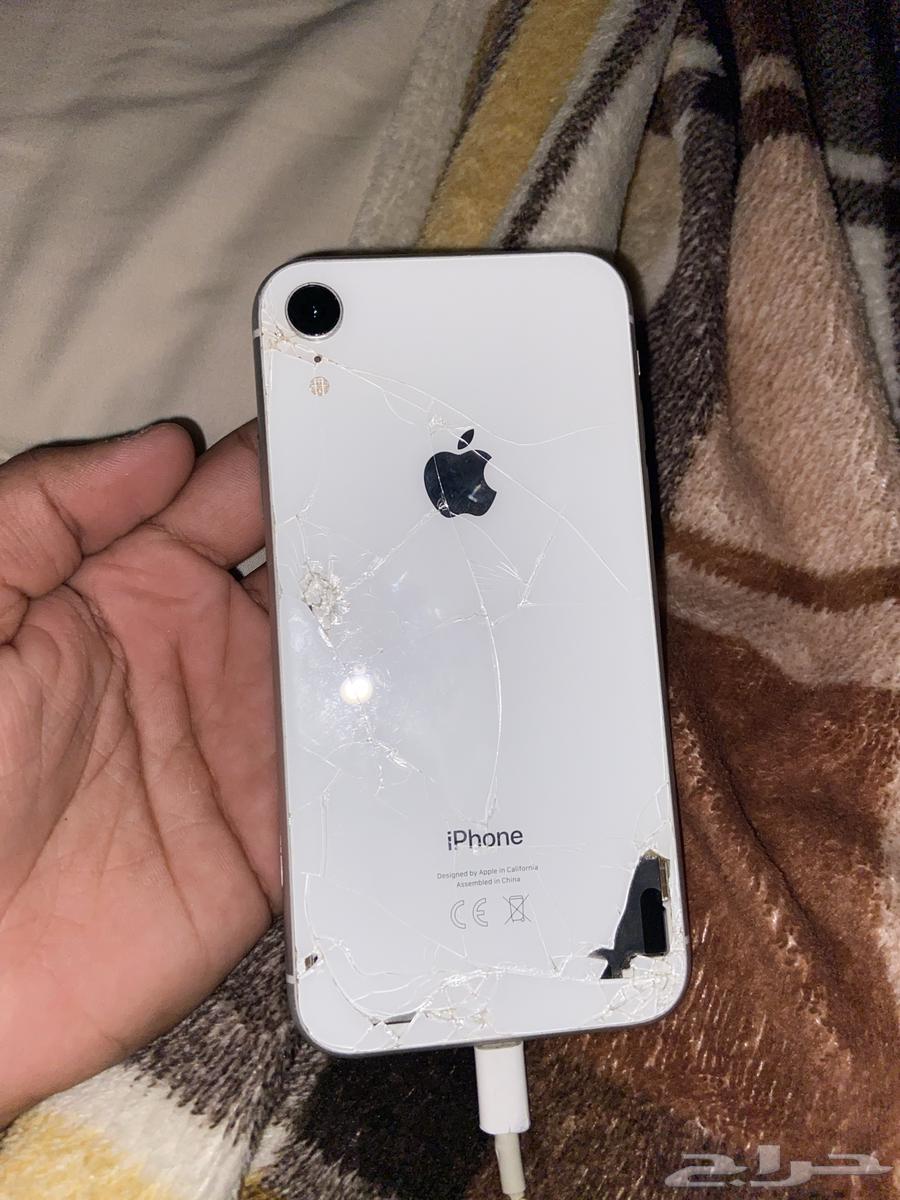 iPhone XR64498257052034111