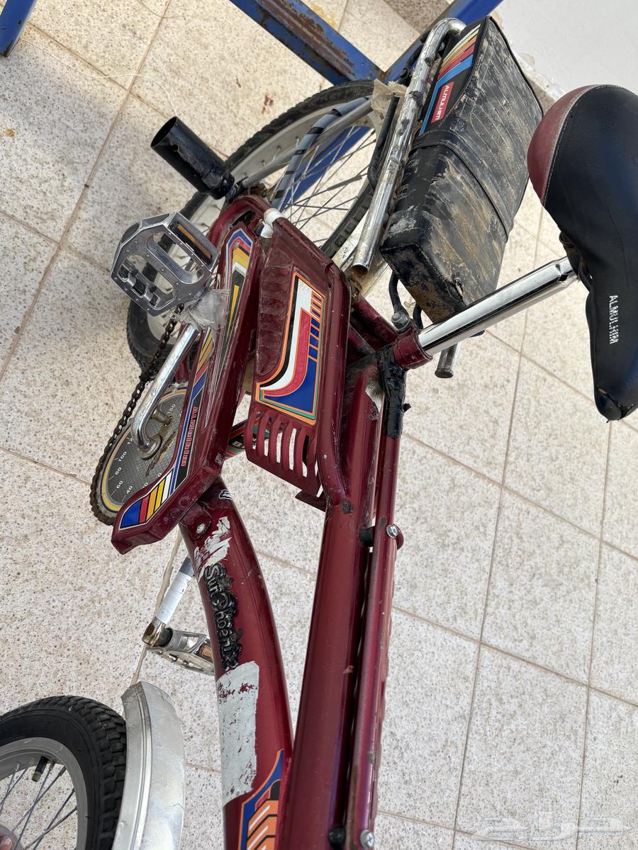 سيكل رامبو جديد64499884169730113