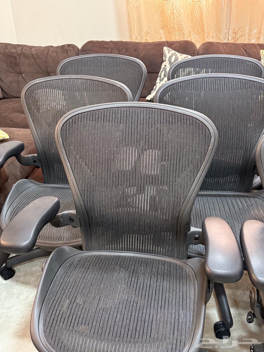 هيرمان ميلر مقاس B الايرون الكلاسيك Herman miller64497606624897112