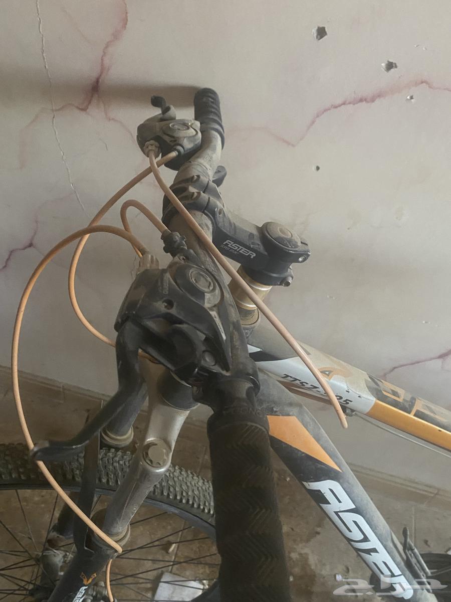 Bicycle64496118845058112