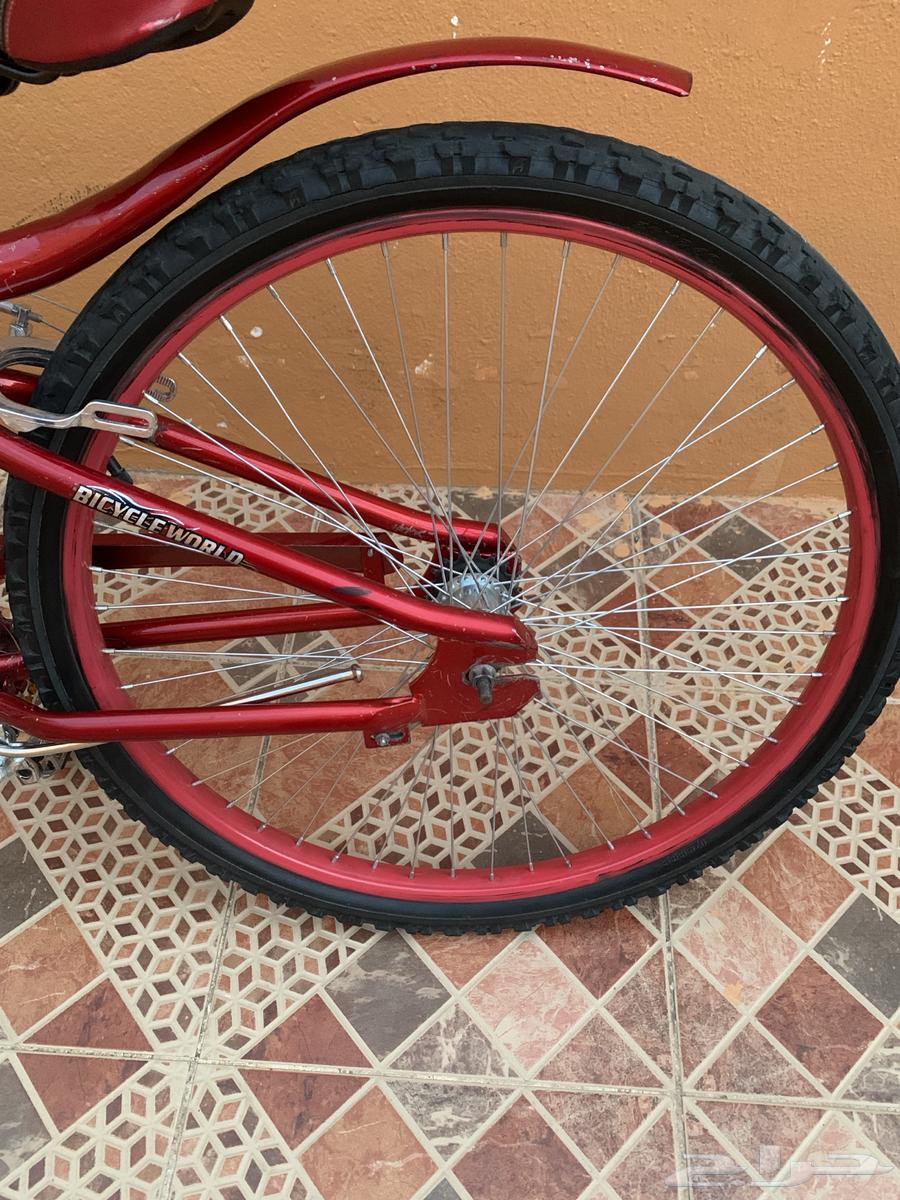 Cyclone Cobra64494925734274112