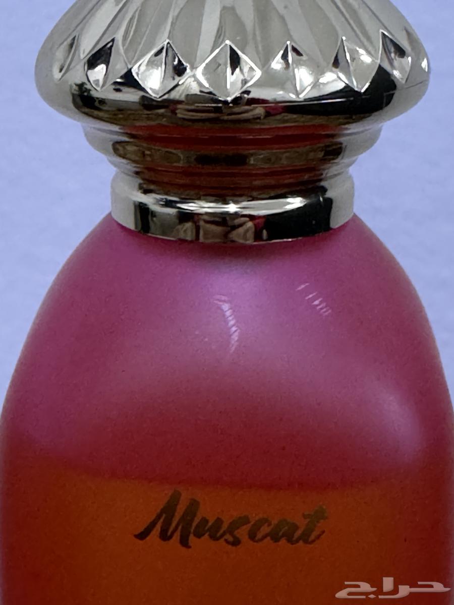 عطر مسقط من دخون الإماراتية64496037179266111