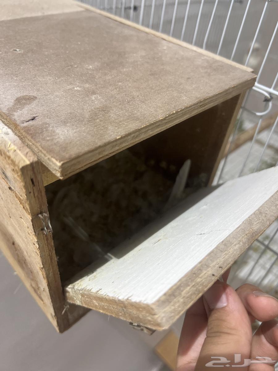 اذكرو الله ياخوان زوج روز منتج انتاج شرط منتج 100 10064501326228739114