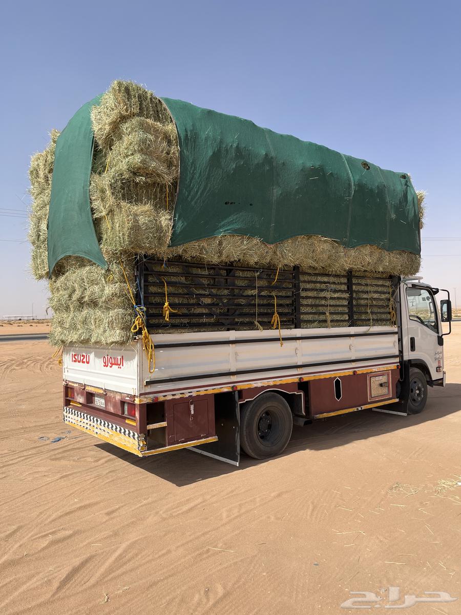 Rhodes became smooth Kfww64498411175681112