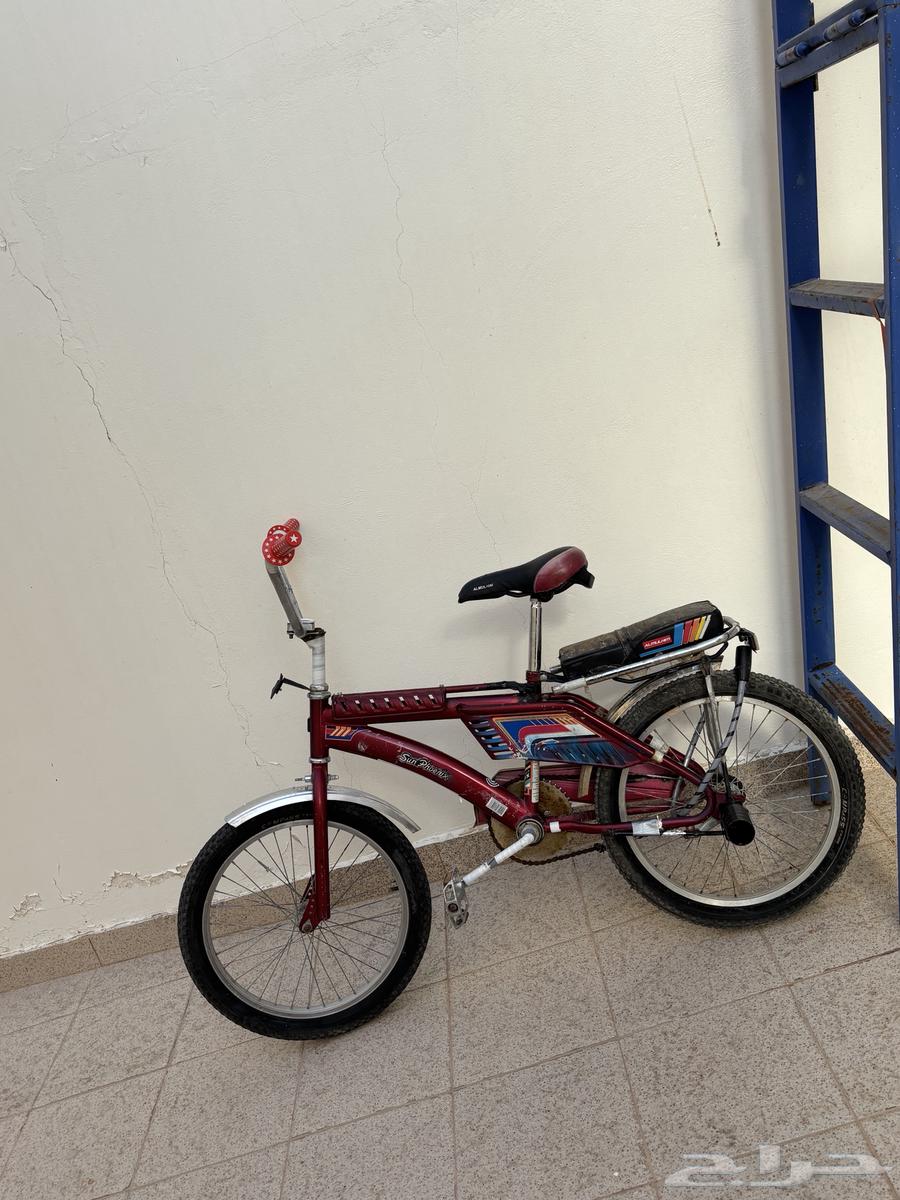 سيكل رامبو جديد64499884169730110