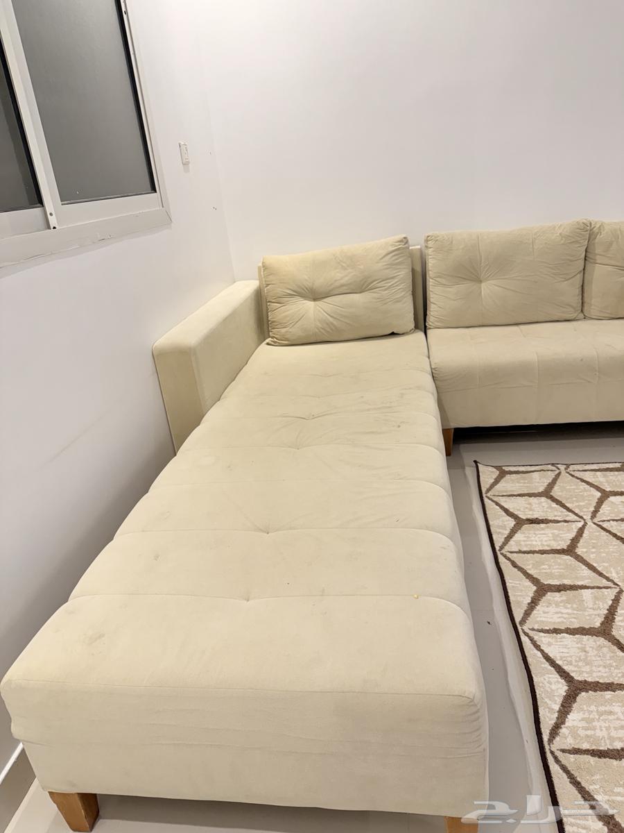 Alif Lam connected bench64502199479170112