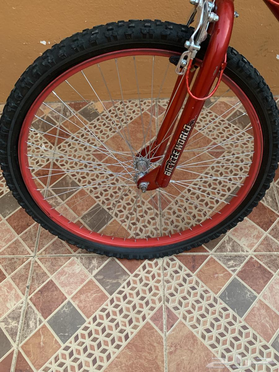 Cyclone Cobra64494925734274111