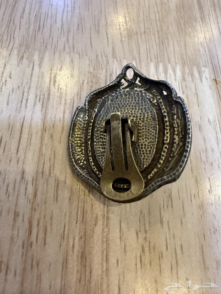 دبوس علاق بحجر كريم64494981908866113