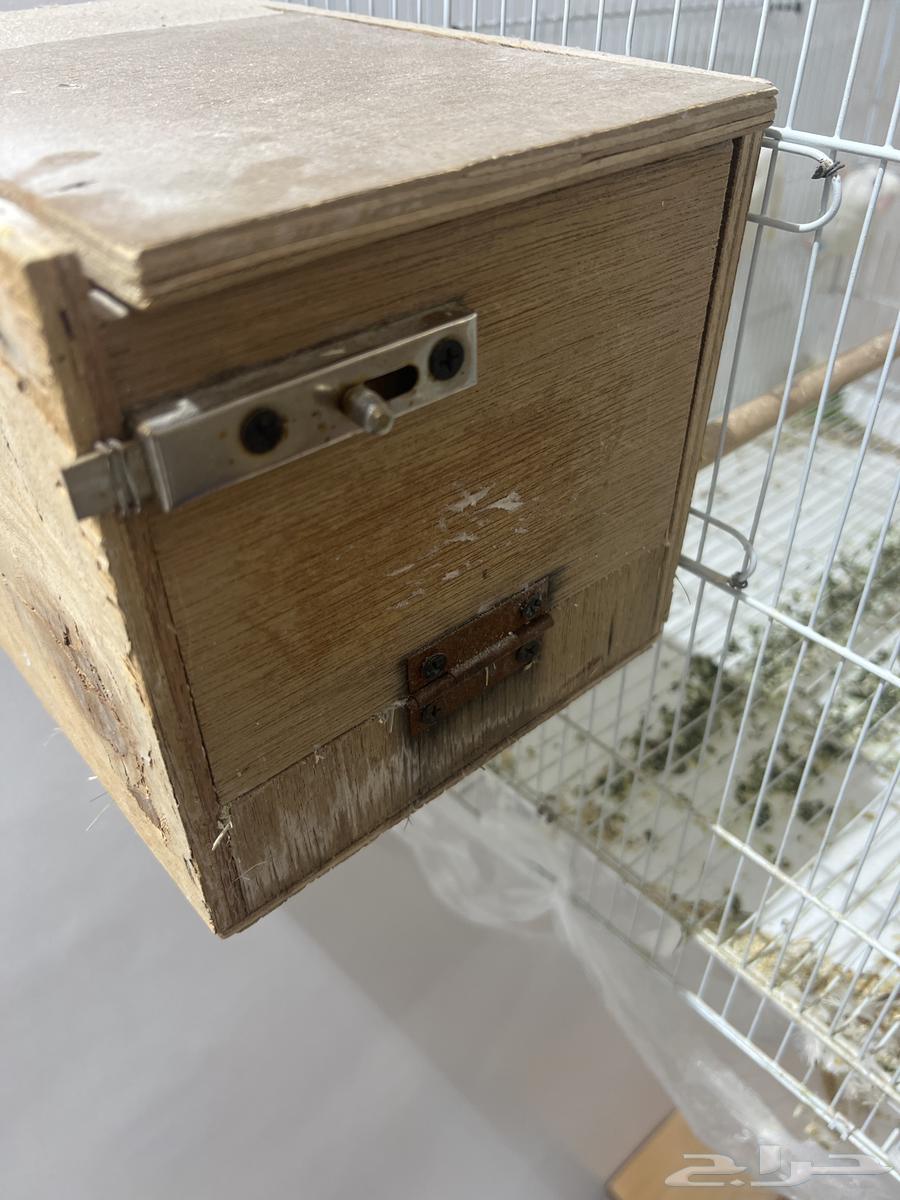 اذكرو الله ياخوان زوج روز منتج انتاج شرط منتج 100 10064501326228739113