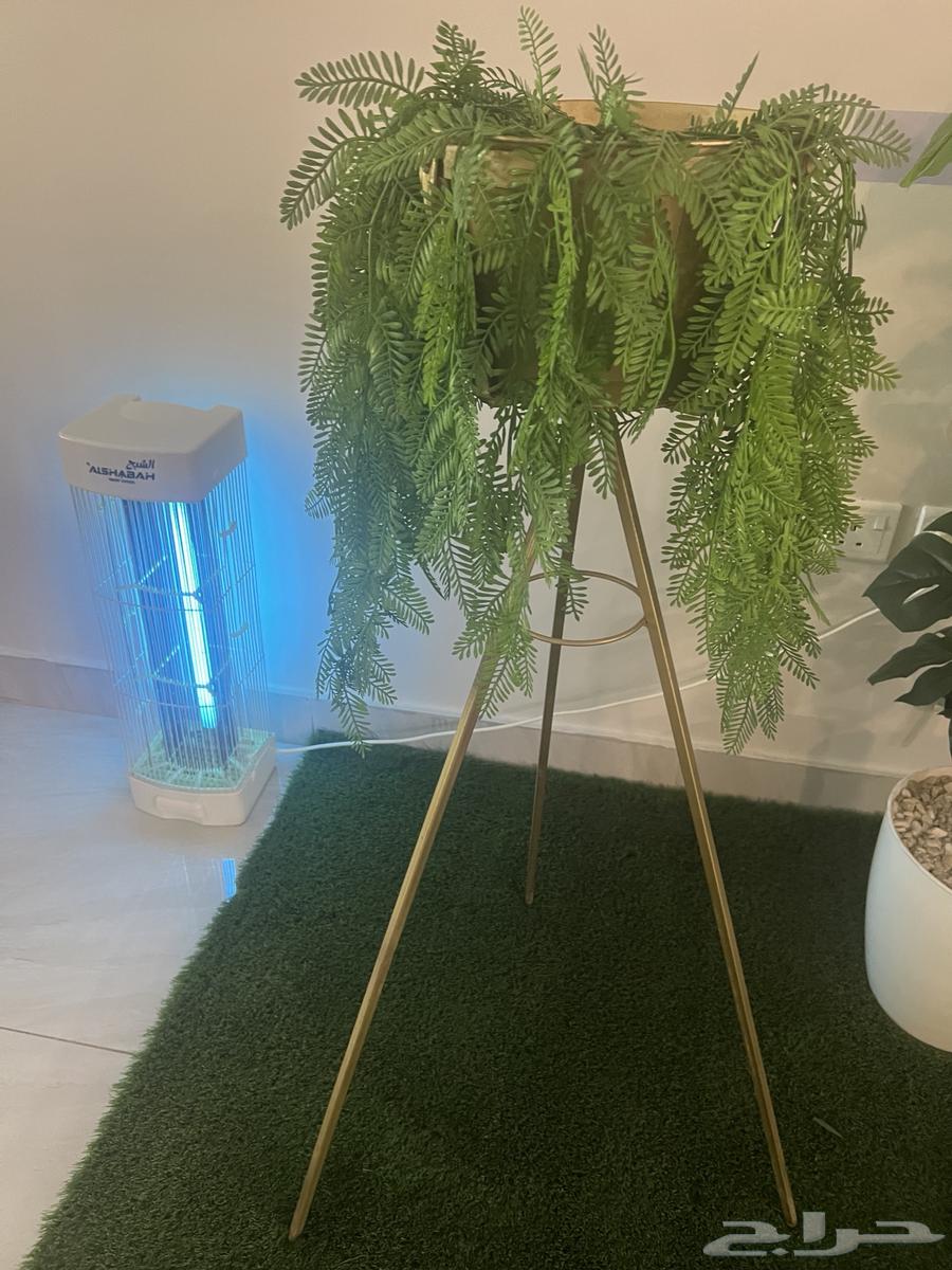 اثاث بيت وتحف للبيع64497262456193110