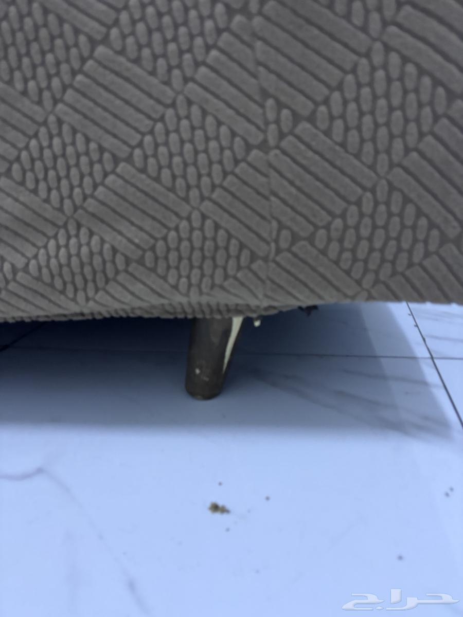 Single sofa, two pieces. 99 SAR64502152379905111