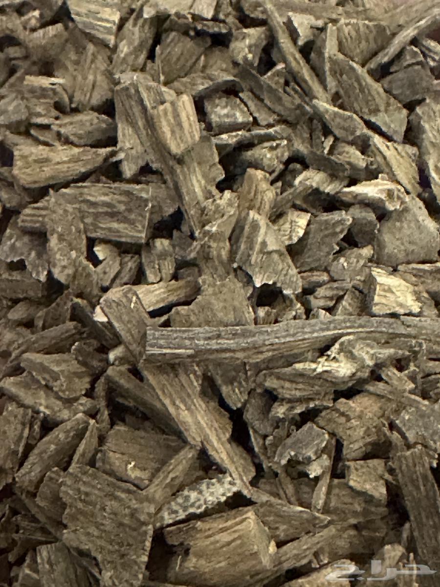 Unique and Diverse Old Oud64499759003521111