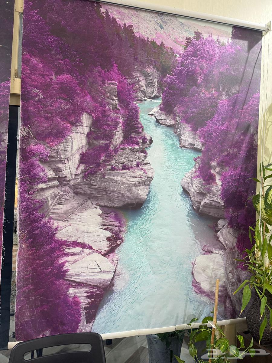 ستاير رووول مناظر طبيعية نظيفة بسعر مغري64499493384706113