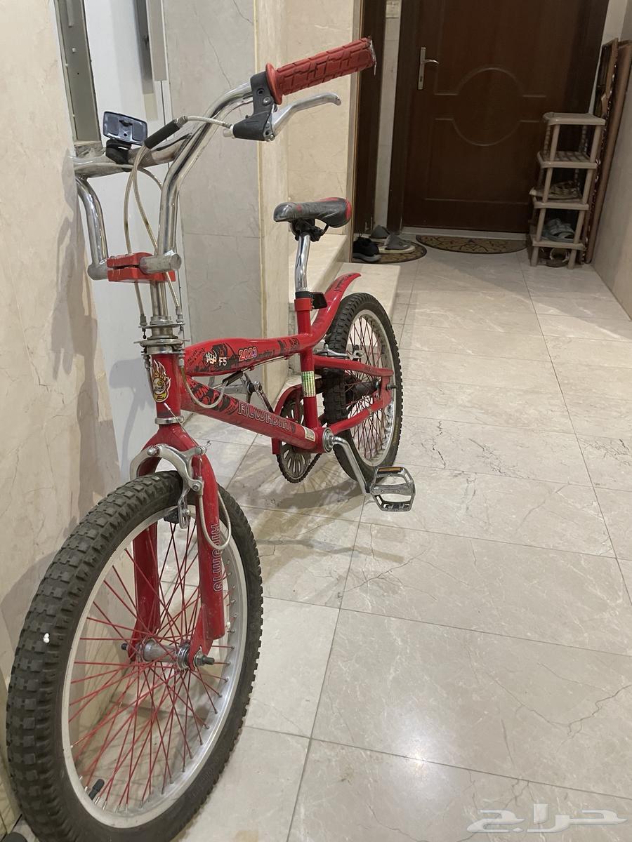 Original Cobra Size 2064496023213187113