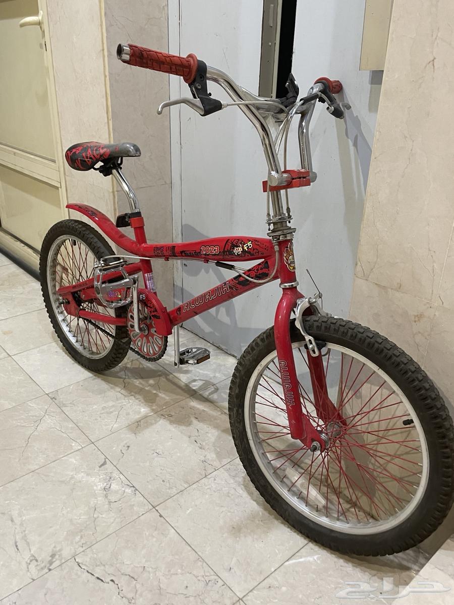 Original Cobra Size 2064496023213187111