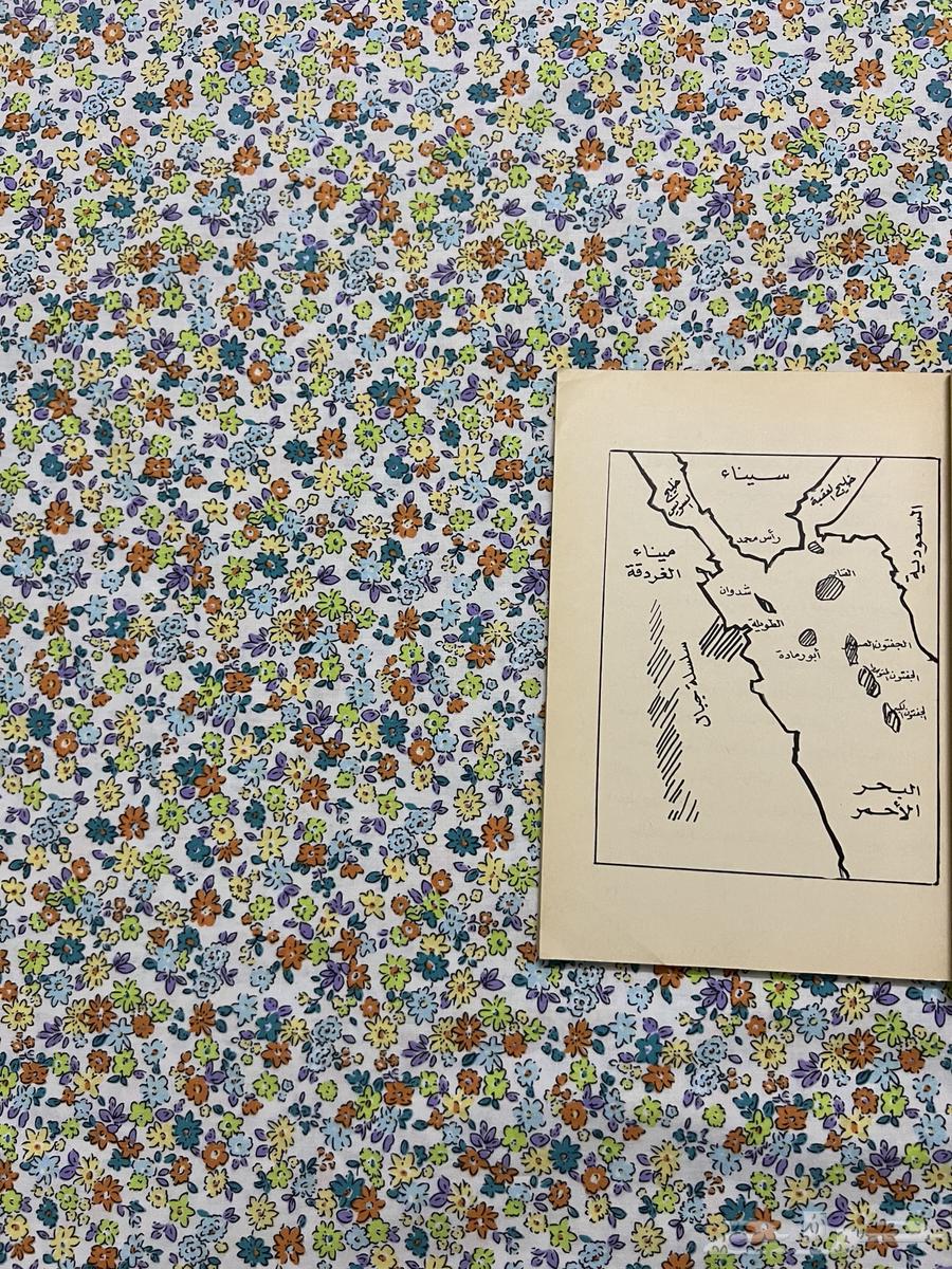 Red Sea Riddle64498187438209112