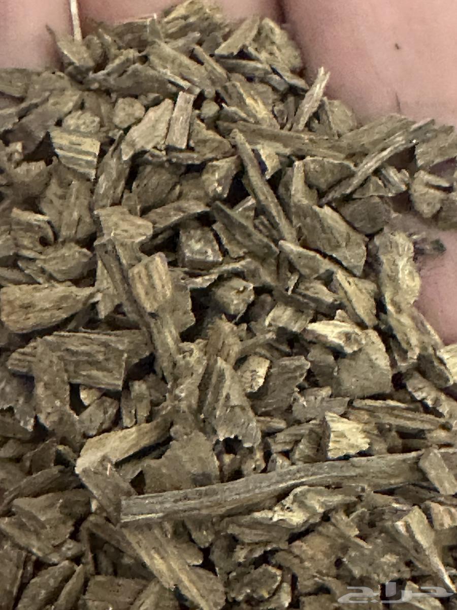 Unique and Diverse Old Oud64499759003521112