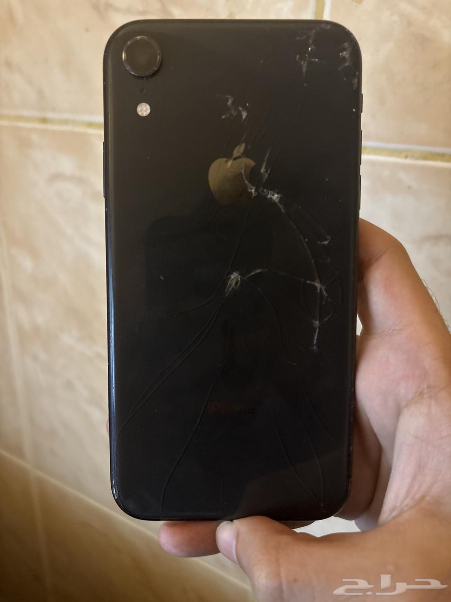 iPhone XR64495159441538110