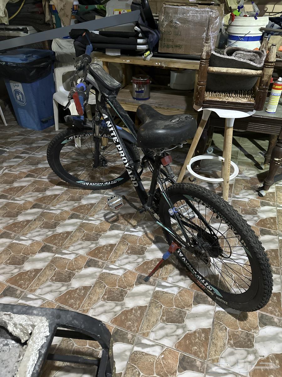 سيكل رياضي وممتاز جدا64501556192513110