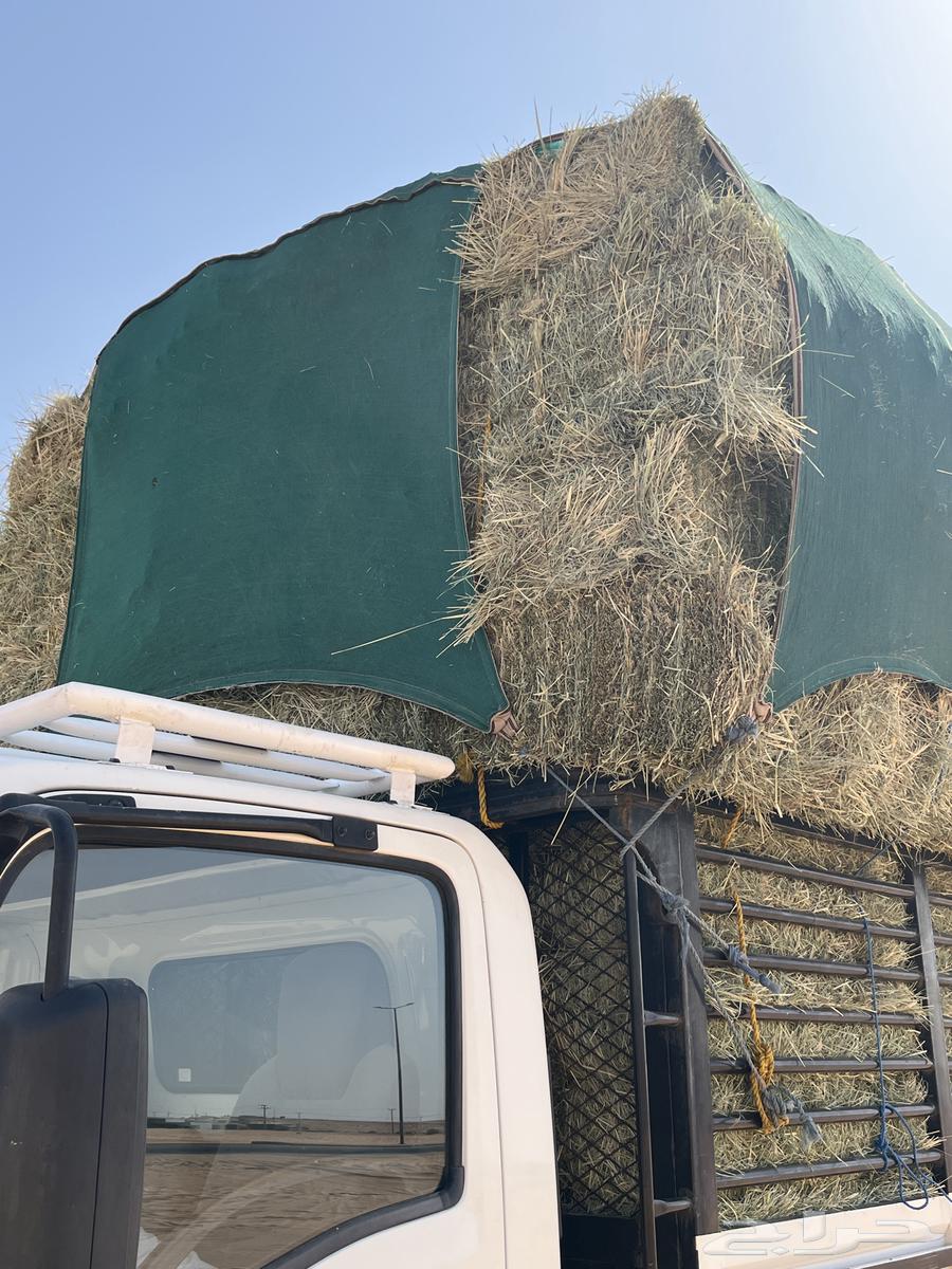 Rhodes became smooth Kfww64498411175681113