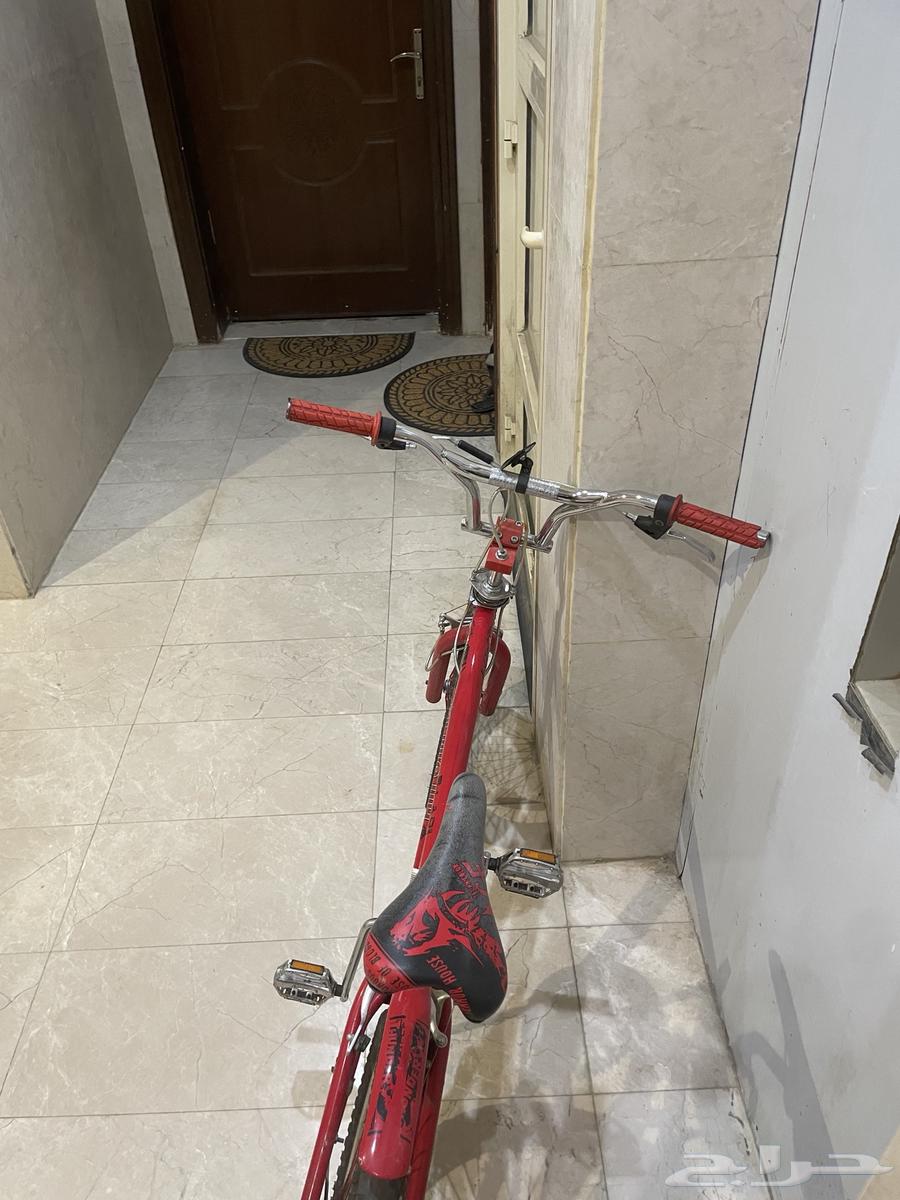 Original Cobra Size 2064496023213187112