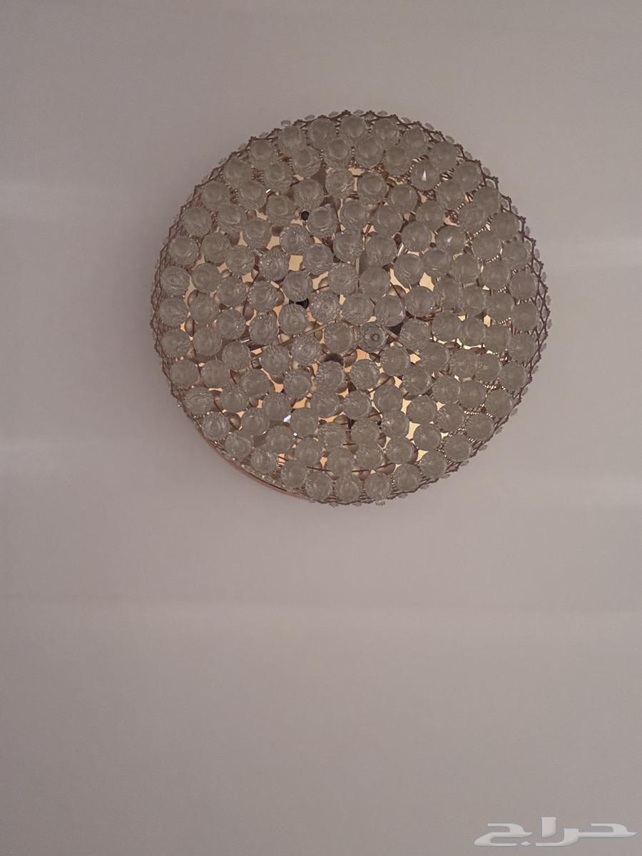 ثريا للمجلس نظيفه سبب البيع ماعد أبيها الحجم وسط المبلغ50064501479099906111