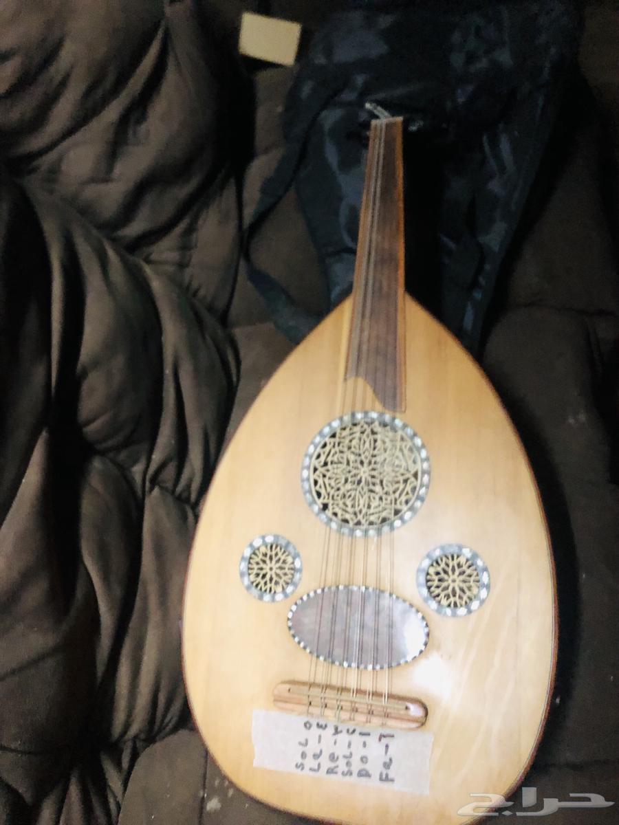 عود موسيقي كهرباء64502528941827110