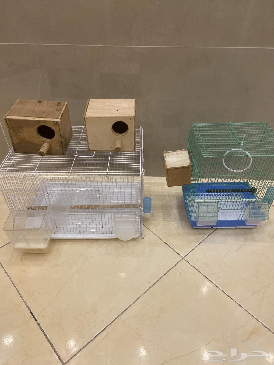 اقفاص ببغاوات للبيع64495624673922110