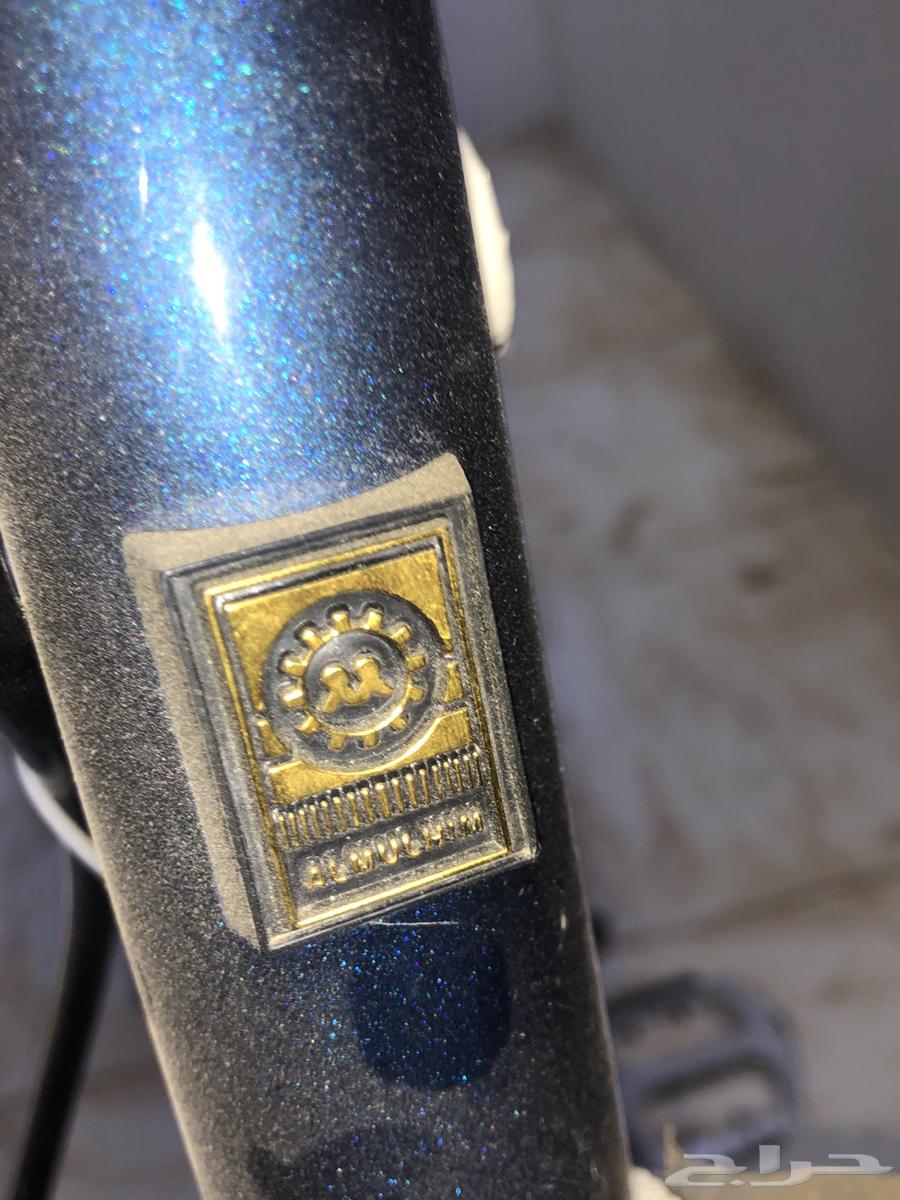 Cyclist storage golden seal front and rear lights, horns and meter64501998035458113