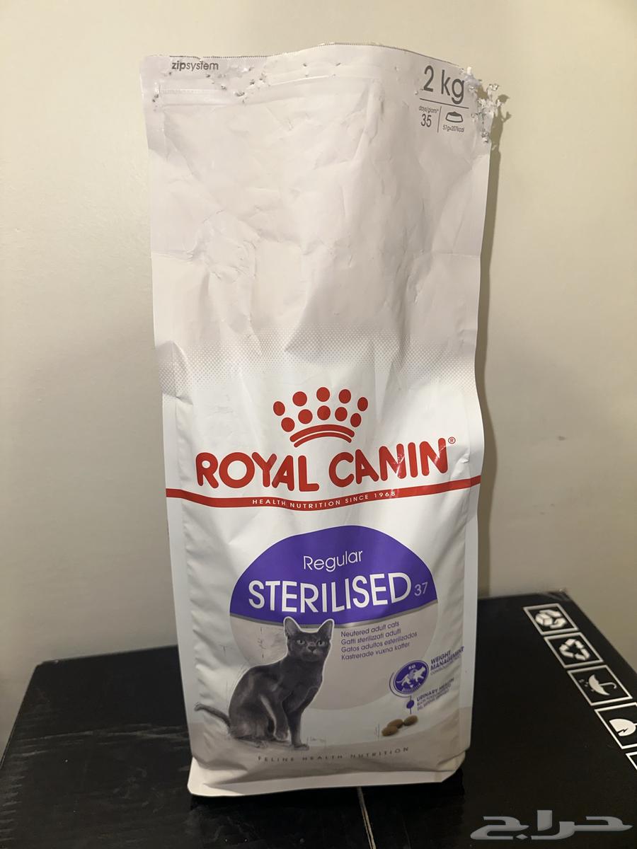 اكل قطط رويال كانين بلاش64501775150466110