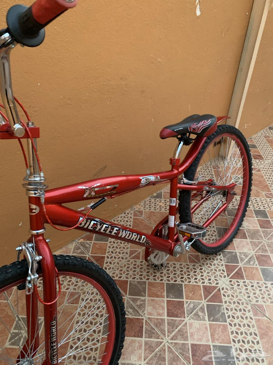 Cyclone Cobra64494925734274113