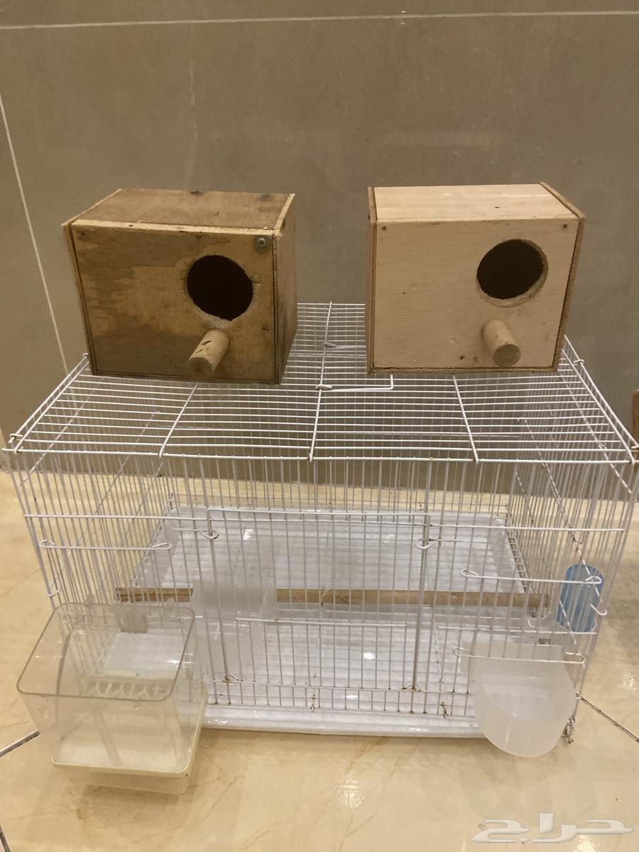 اقفاص ببغاوات للبيع64495624673922111