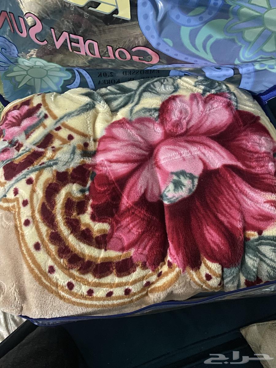 بطانيه كوري64496599306371111