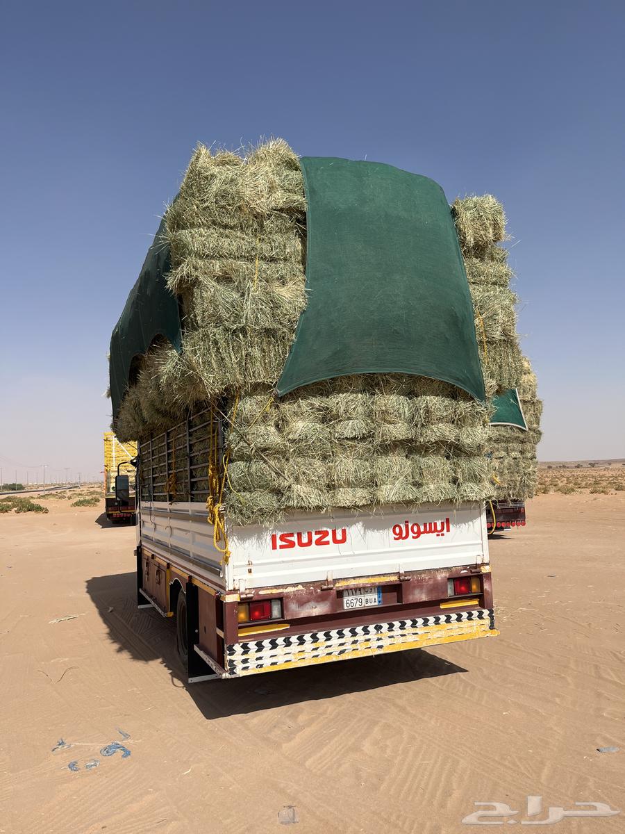 Rhodes became smooth Kfww64498411175681110