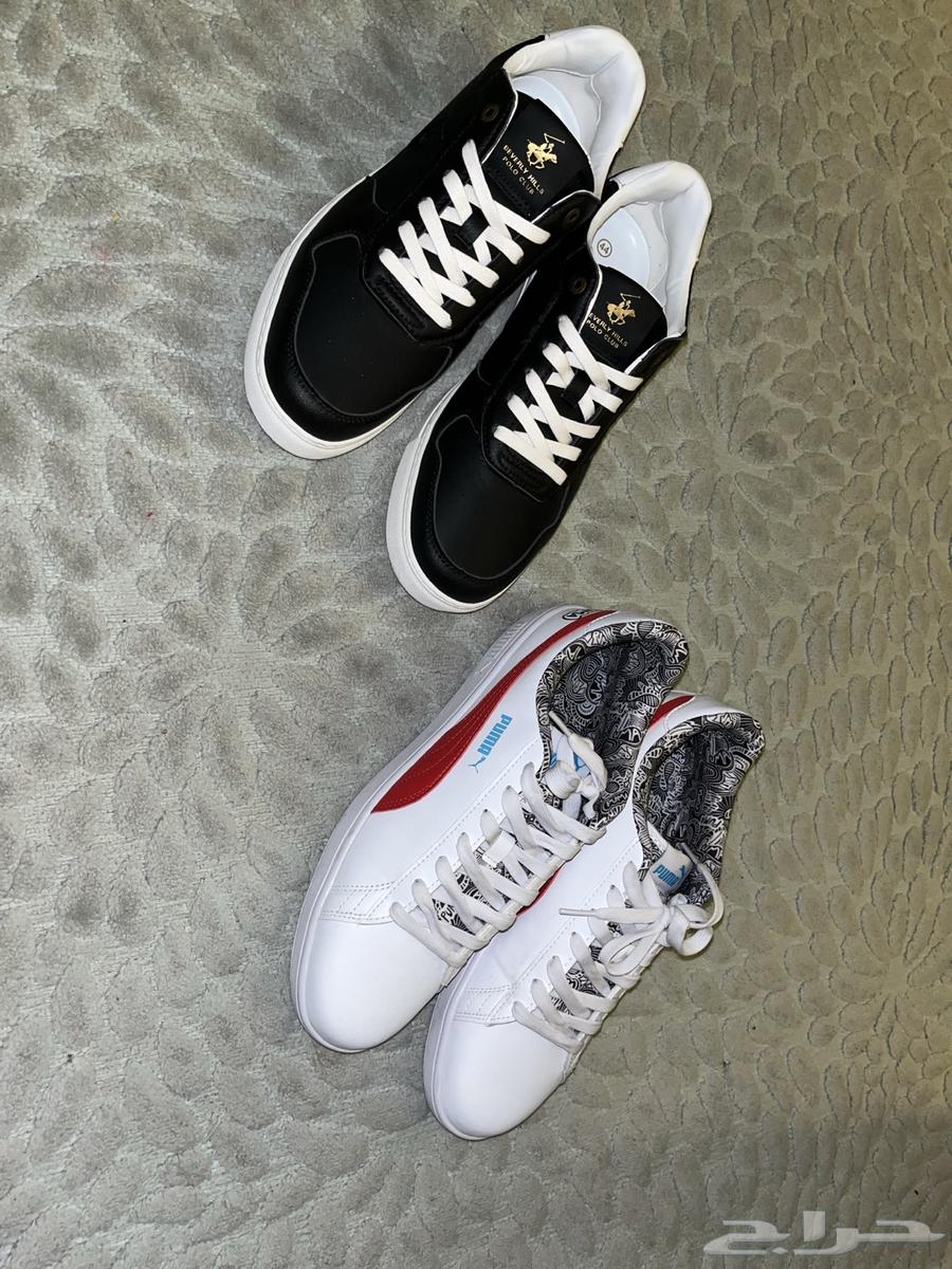 Original Puma and Polo Shoes64495186358146110