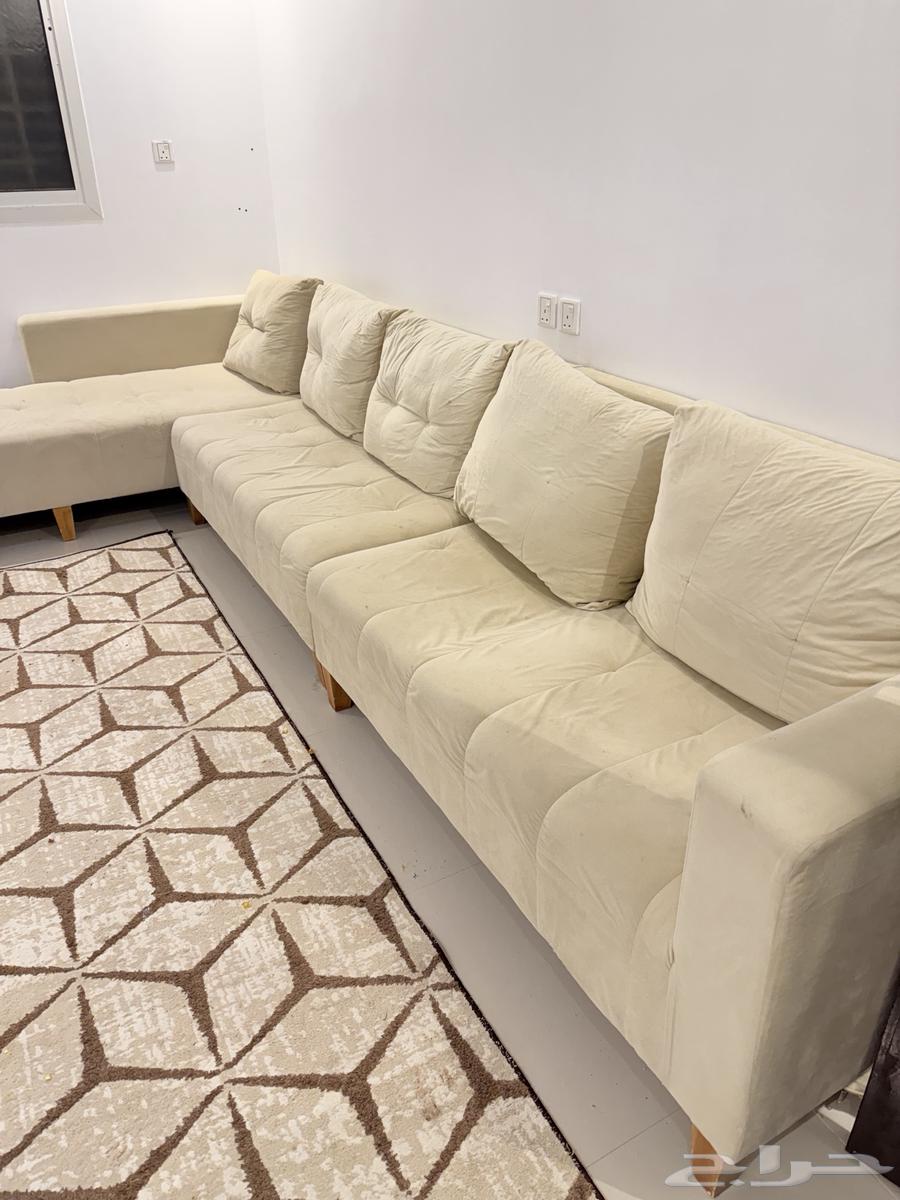 Alif Lam connected bench64502199479170110