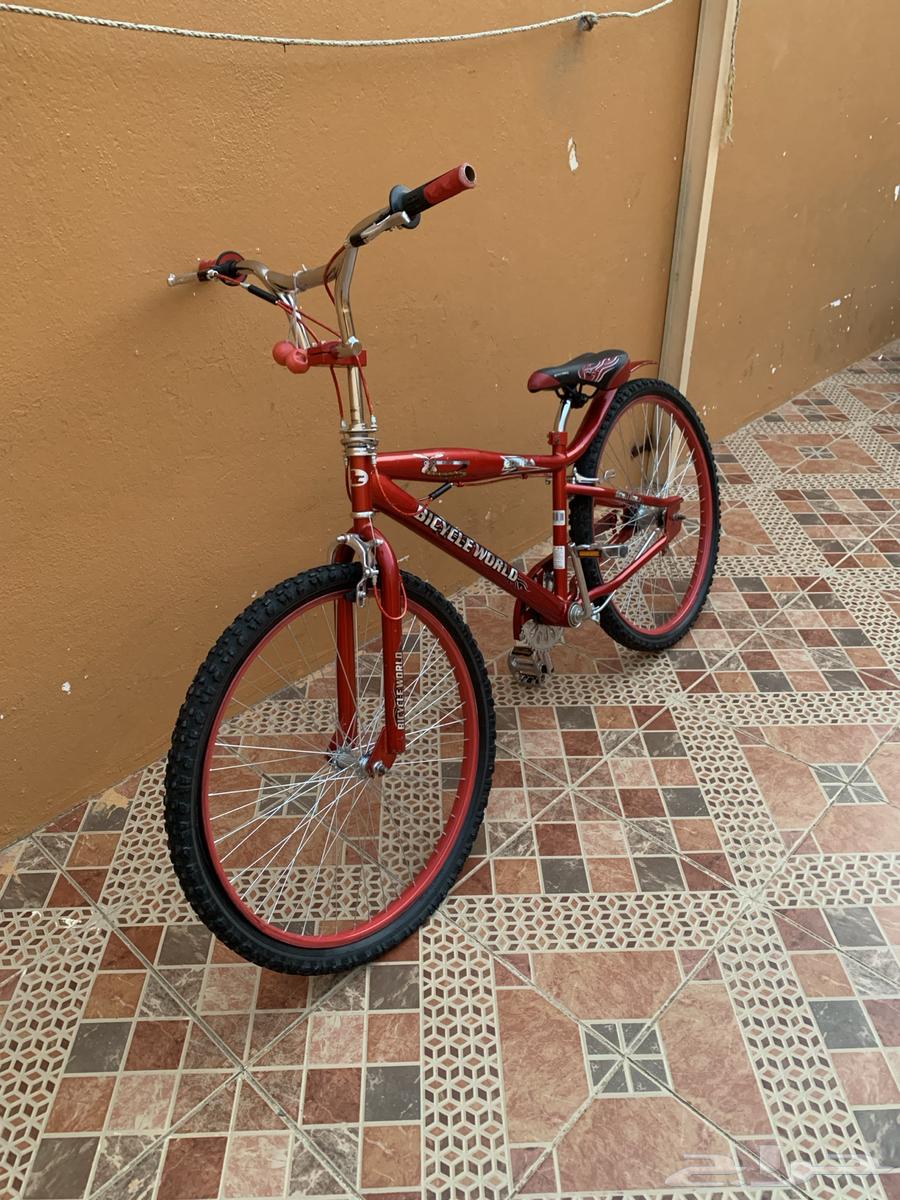 Cyclone Cobra64494925734274110