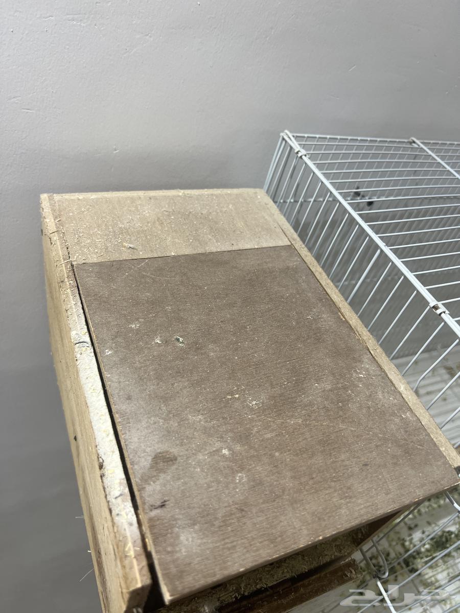 اذكرو الله ياخوان زوج روز منتج انتاج شرط منتج 100 10064501326228739111