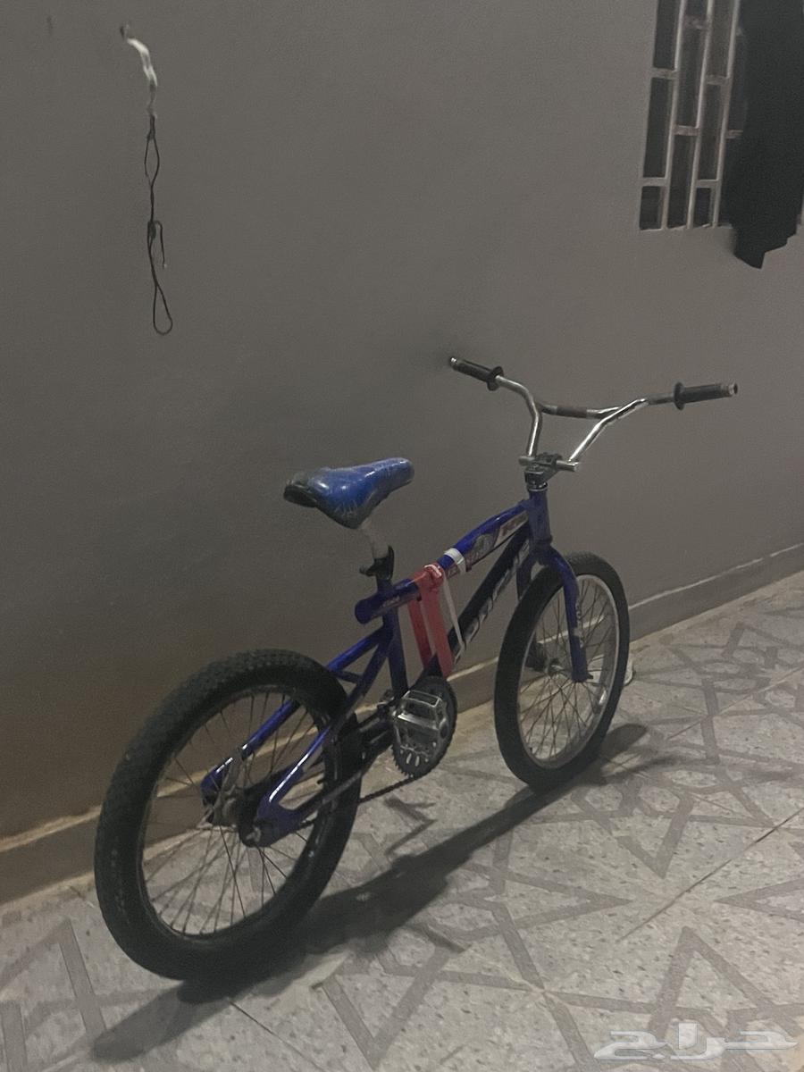 Clean Cobra motorcycle, missing a stand and the rest, must come with a bird64502693850881111