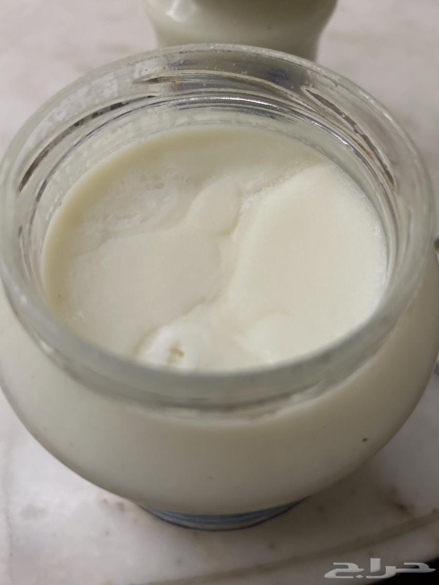 دهن شحم الغنم (ودك)64500909395202111