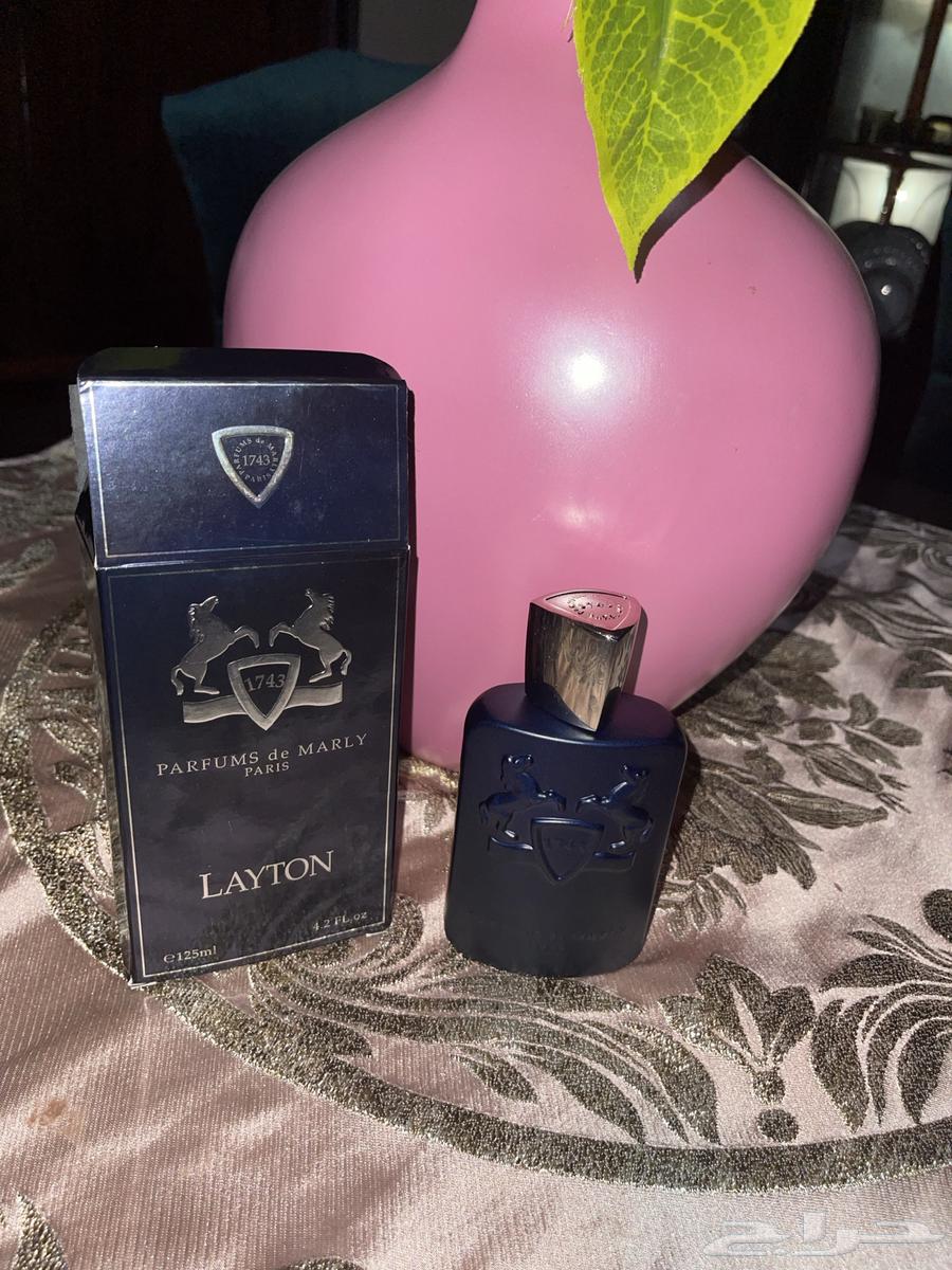 عطر ليتون من ديمارلي64495927147395111