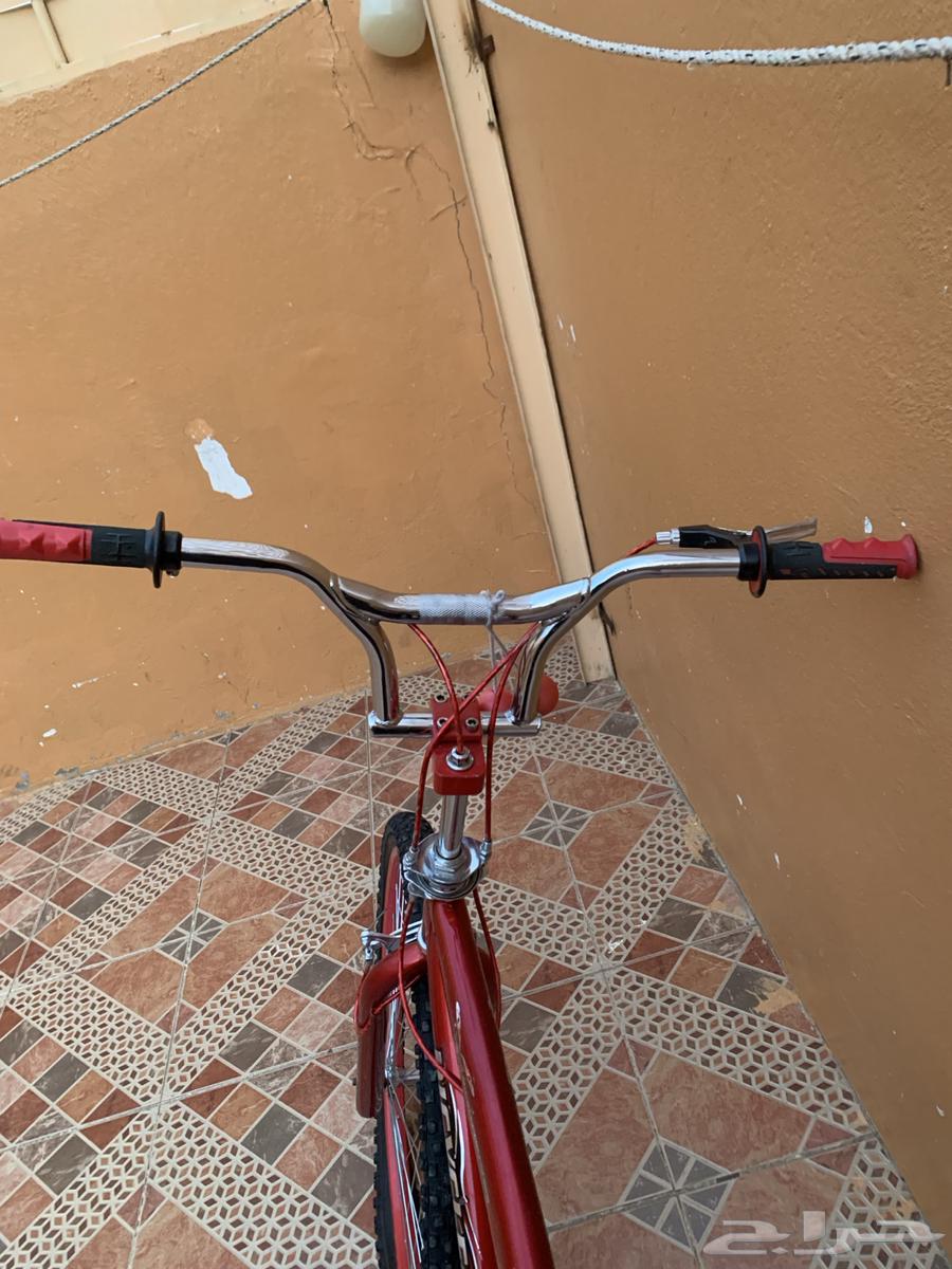 Cyclone Cobra64494925734274114