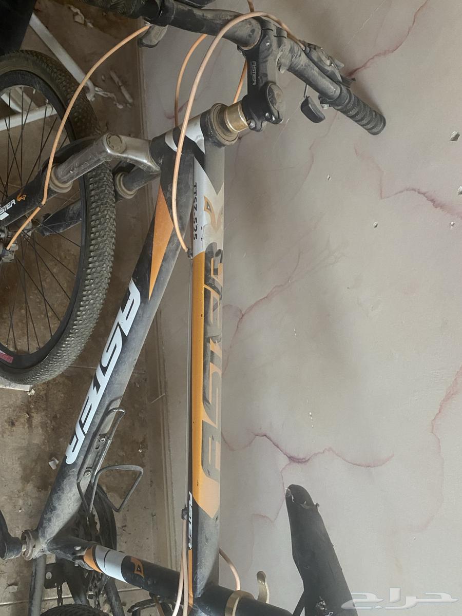 Bicycle64496118845058114