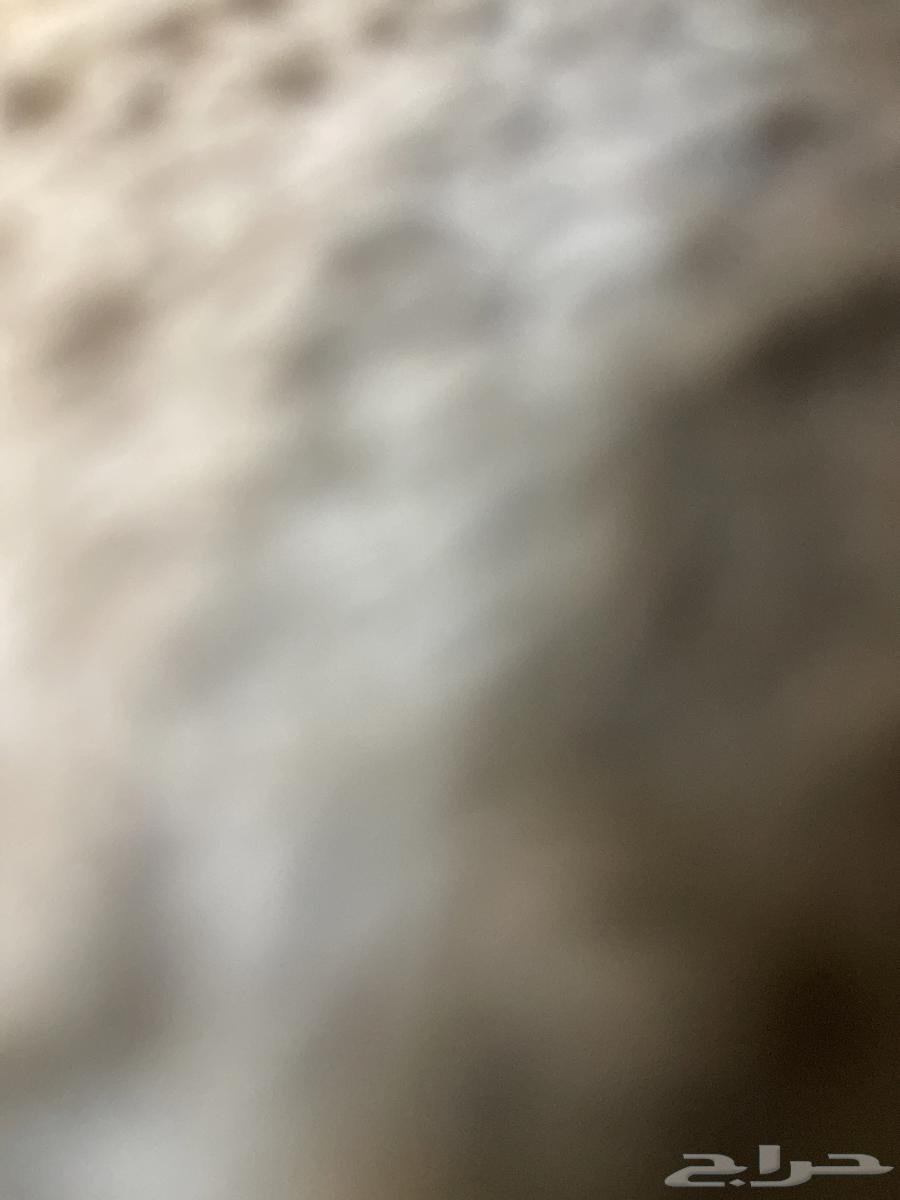 Al Nassr Match Ticket64501493052290110