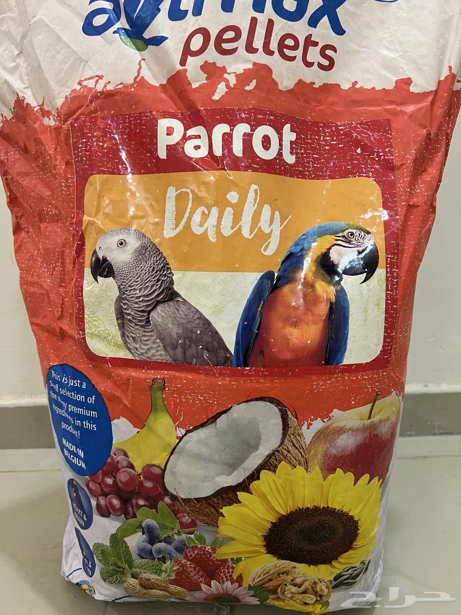 اكل ببغاء يومي افيماكس64501118747265110