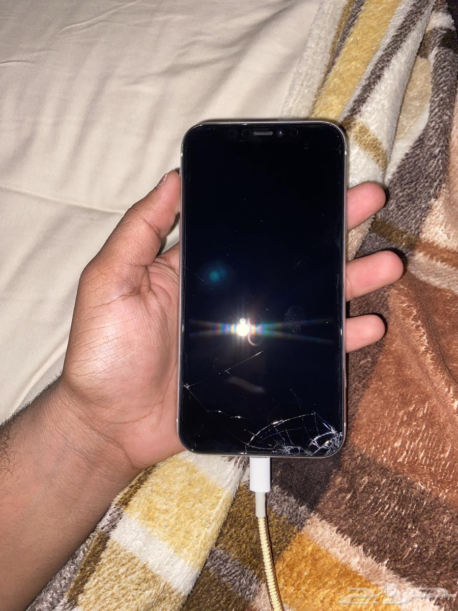 iPhone XR64498257052034110